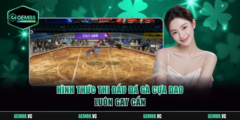 Lựa chọn hình thức đá gà cựa dao gay cấn để vào tiền đặt cược