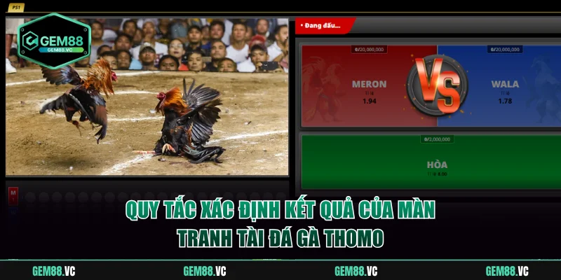 Quy tắc xác định kết quả của màn tranh tài đá gà Thomo
